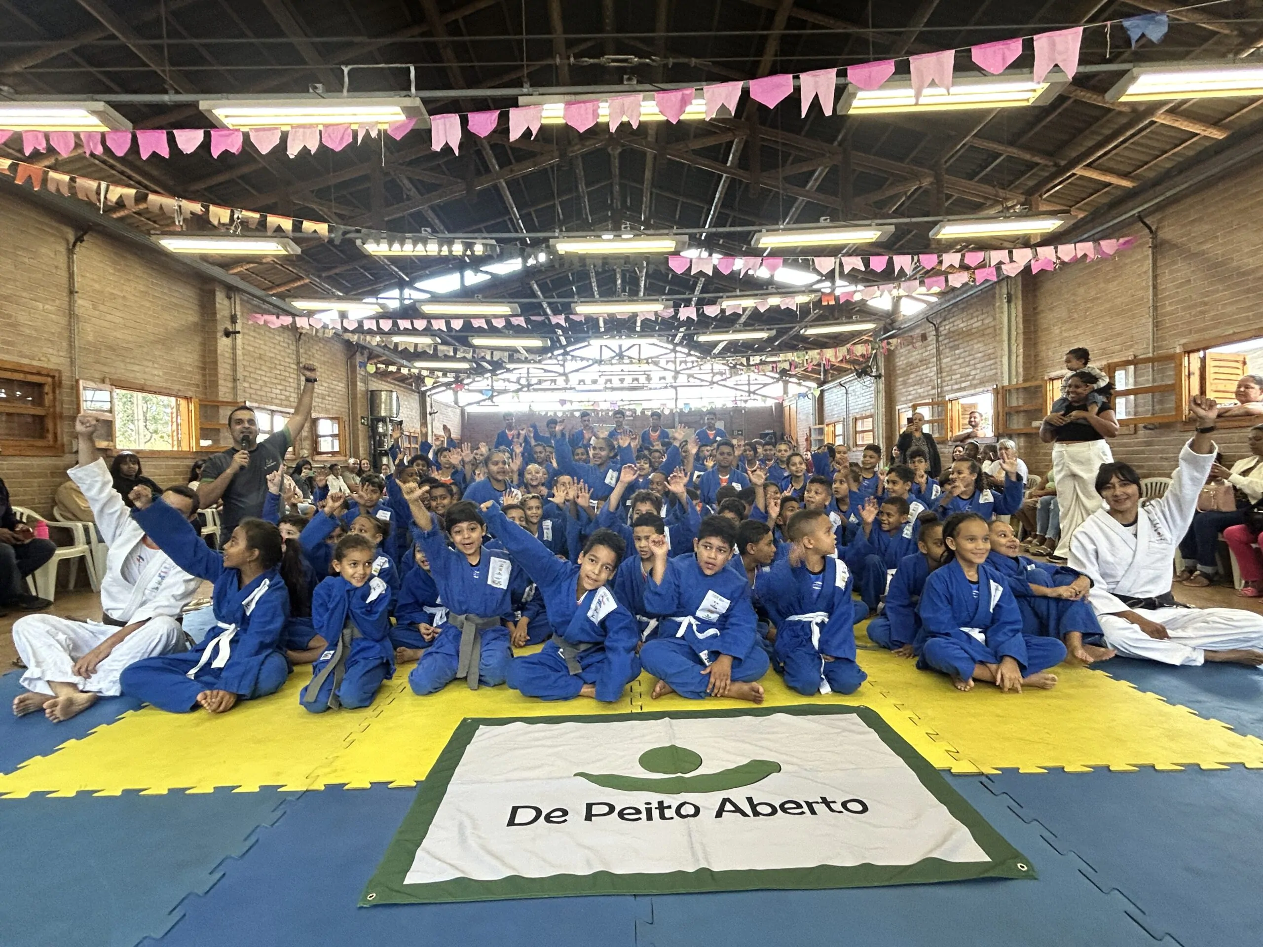 Festival de judô